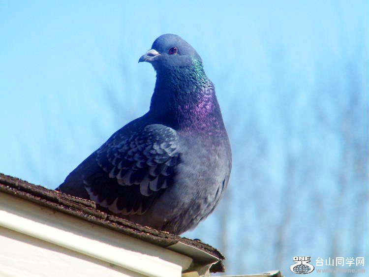 DSCF7375=0.jpg