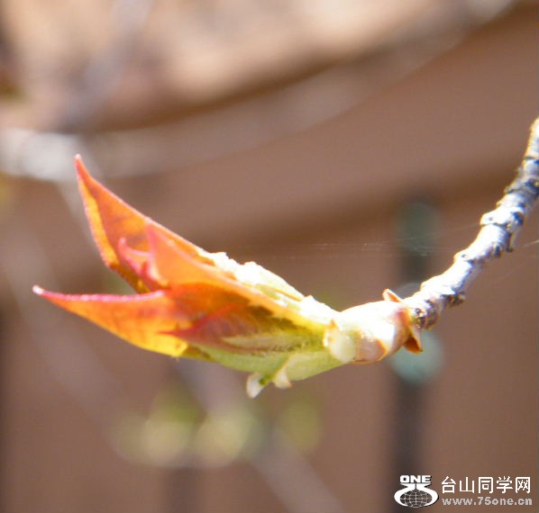 DSCF8967.JPG
