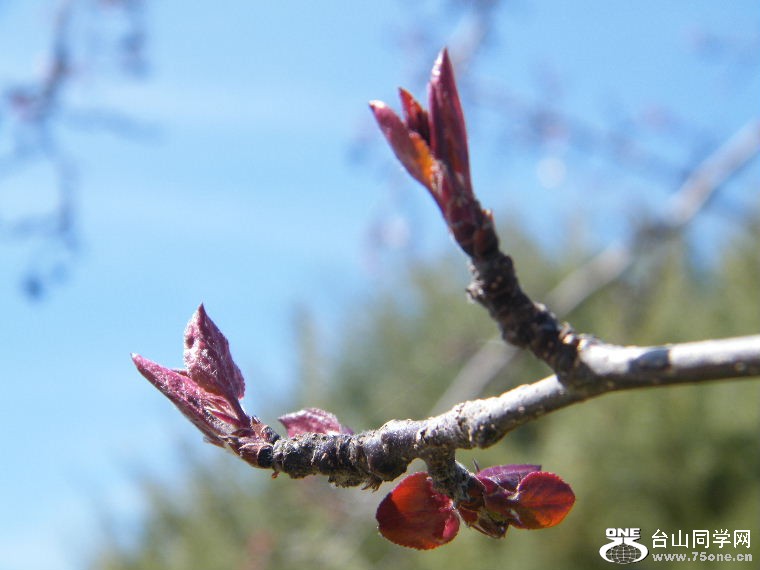 DSCF8972.JPG