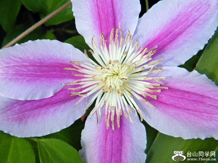2011_0508desk0055.JPG