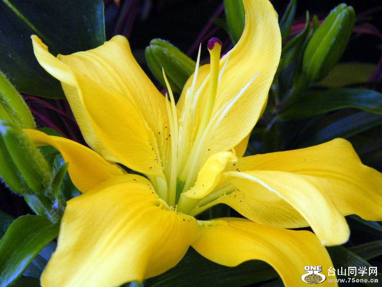 2011_0508desk0046=0.jpg