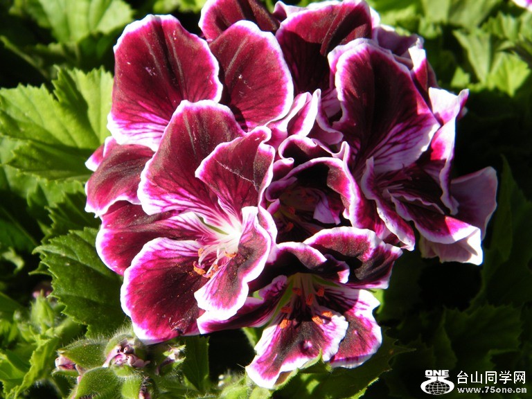 2011_0508desk0048=0.jpg