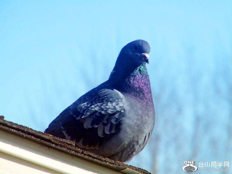 DSCF7370=0.jpg