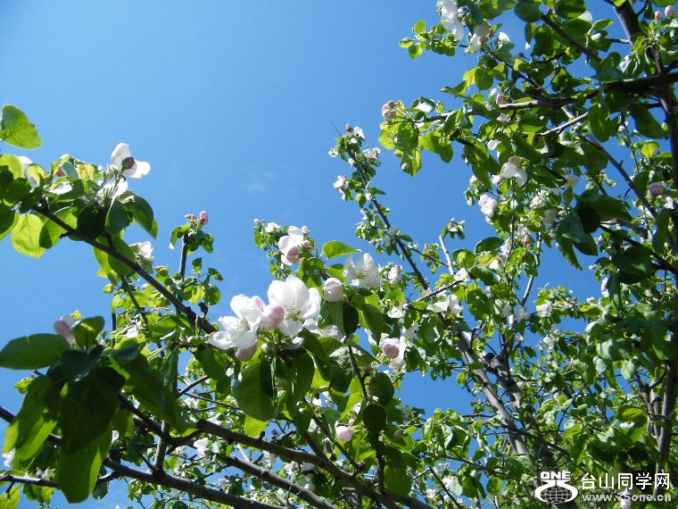 DSCF9236.JPG