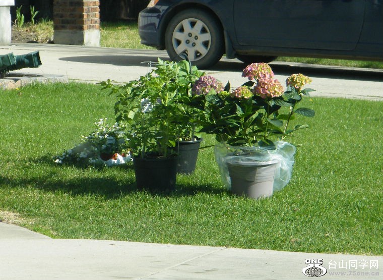 DSCF8974.JPG