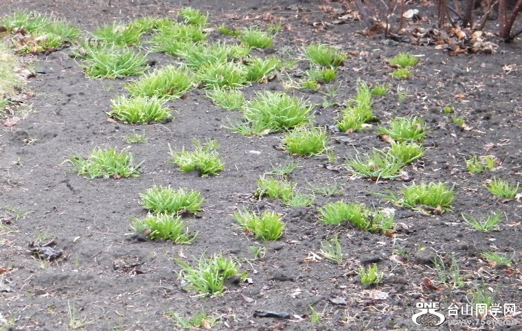 2011_0508desk0006.JPG