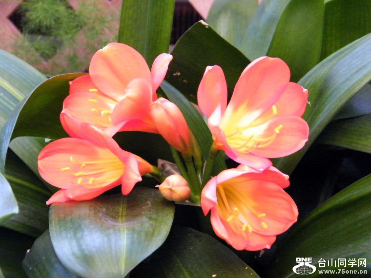 2011_0508desk0041.JPG