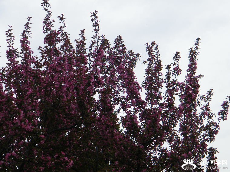 DSCF9344.JPG