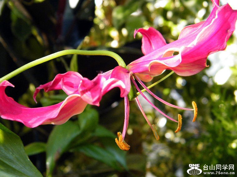 2011_0508desk0058.JPG