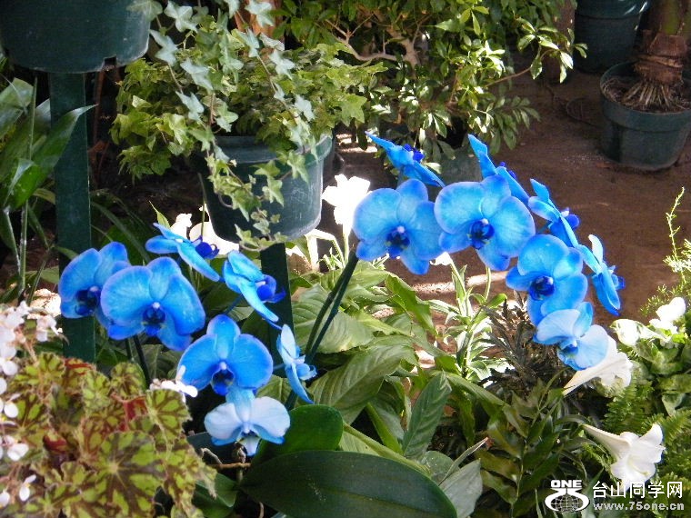 2011_0508desk0039.JPG