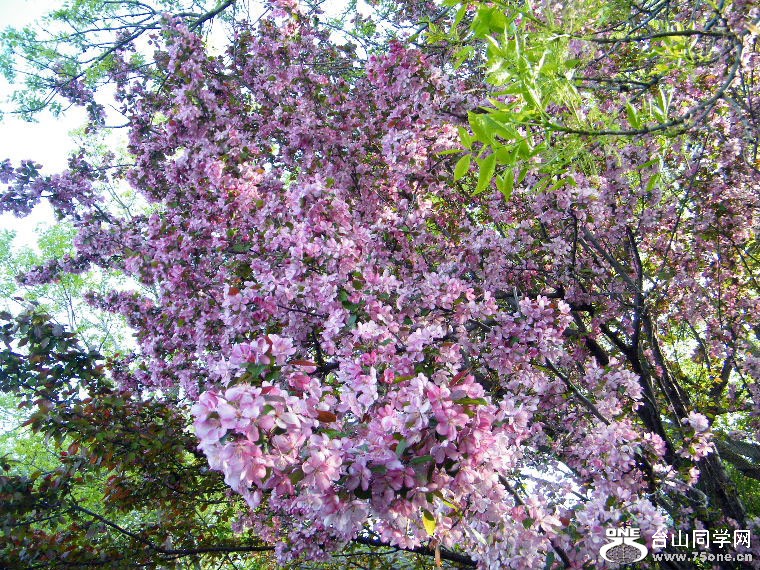 DSCF9501.JPG