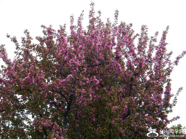 DSCF9346=0.jpg