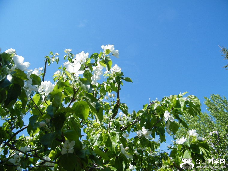 DSCF9235.JPG