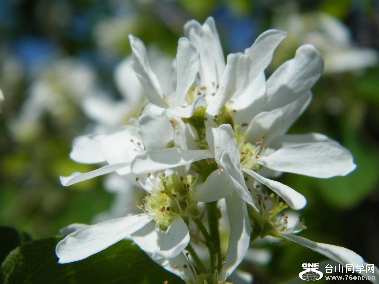 DSCF9248.JPG