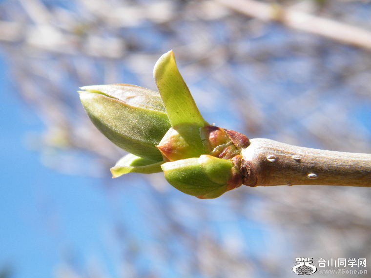 DSCF8969.JPG