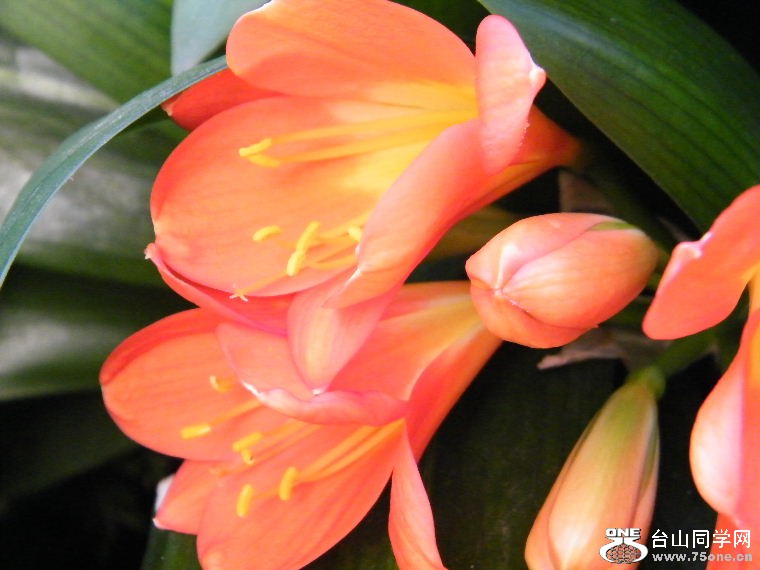 2011_0508desk0044.JPG