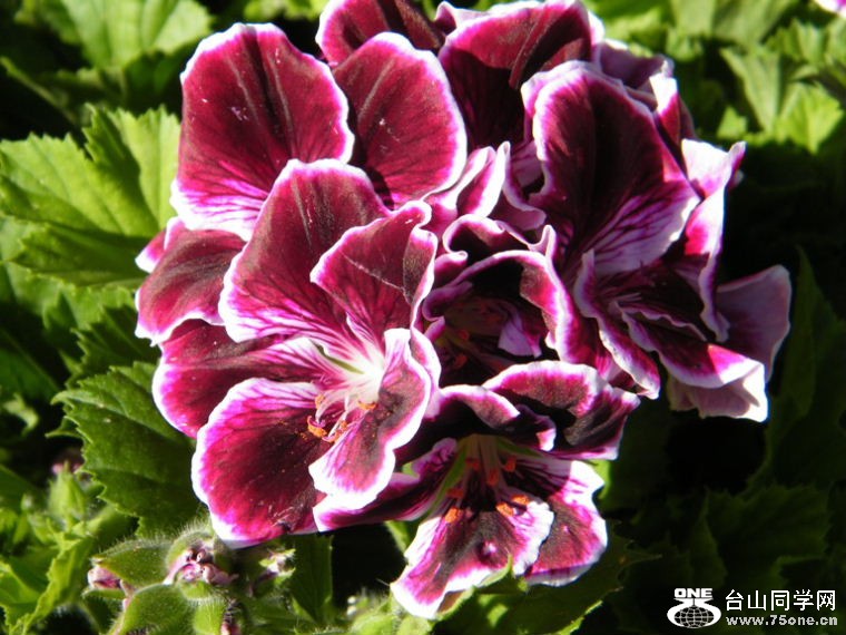 2011_0508desk0048=0.jpg