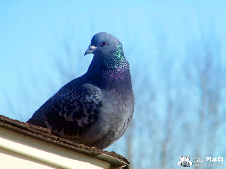 DSCF7376=0.jpg