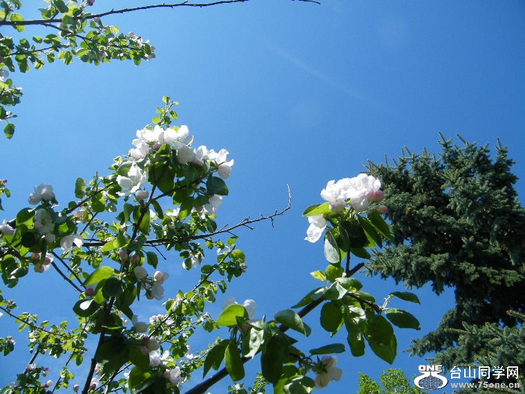DSCF9237.JPG