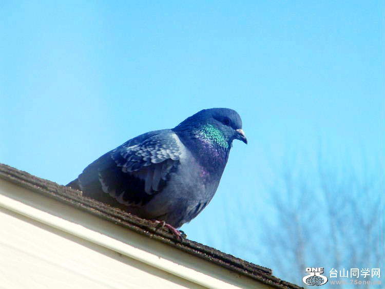 DSCF7365=0.jpg