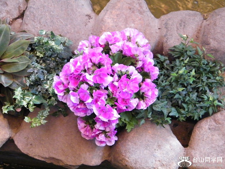 2011_0508desk0040.JPG