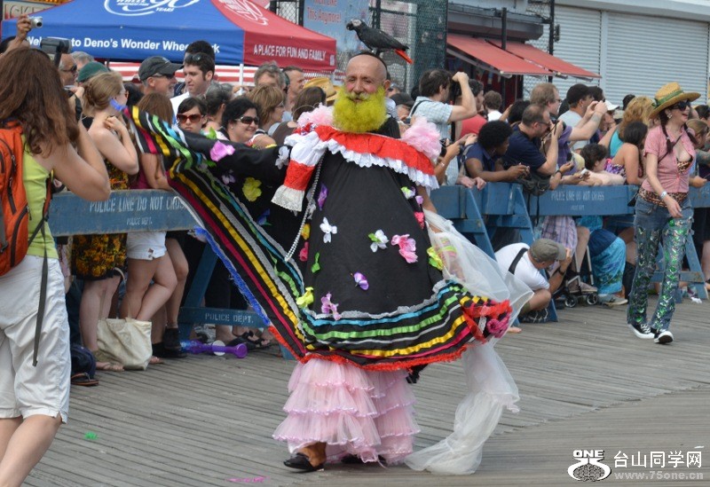 DSC_0805 (800x549).jpg
