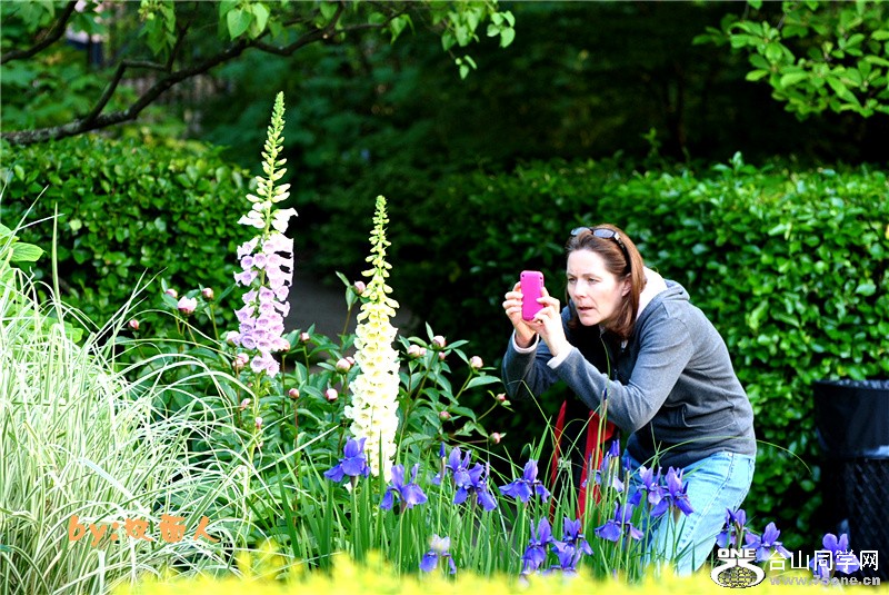 Picture 256_����.jpg