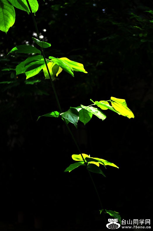 DSC_1430.jpg