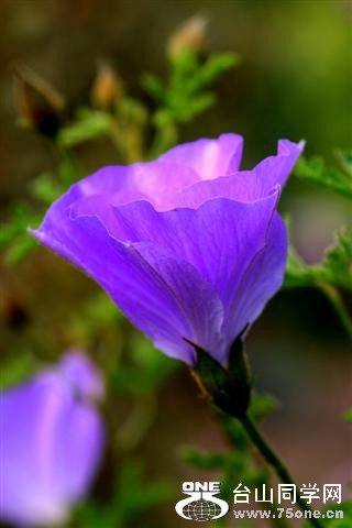 IMG_06277 (Small).jpg