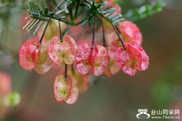 IMG_06866 (Small).jpg