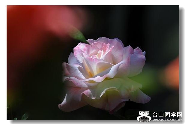 DSC_1754.JPG