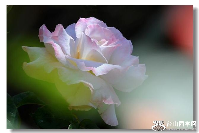 DSC_1769.JPG