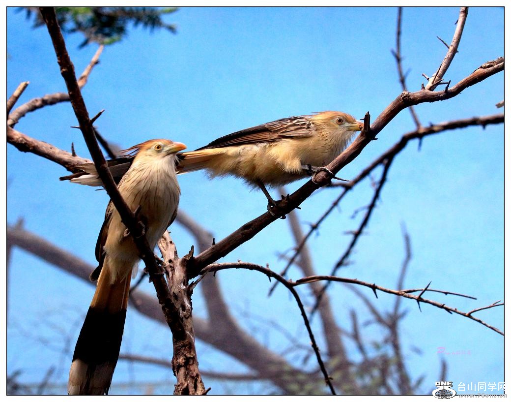 �}�u -IMG_0546cccvvm.jpg