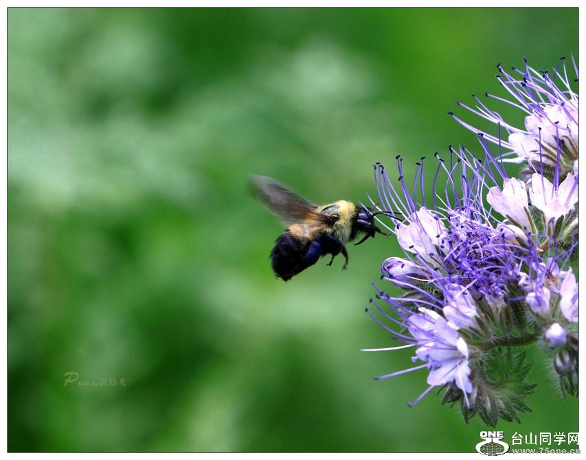 �}�u -IMG_9547cc.jpg