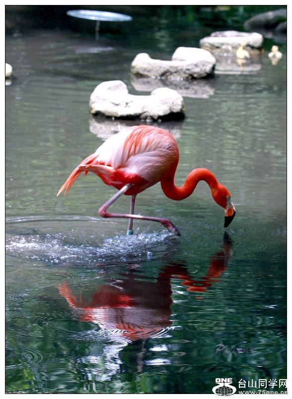 �}�u -IMG_0374cc.jpg