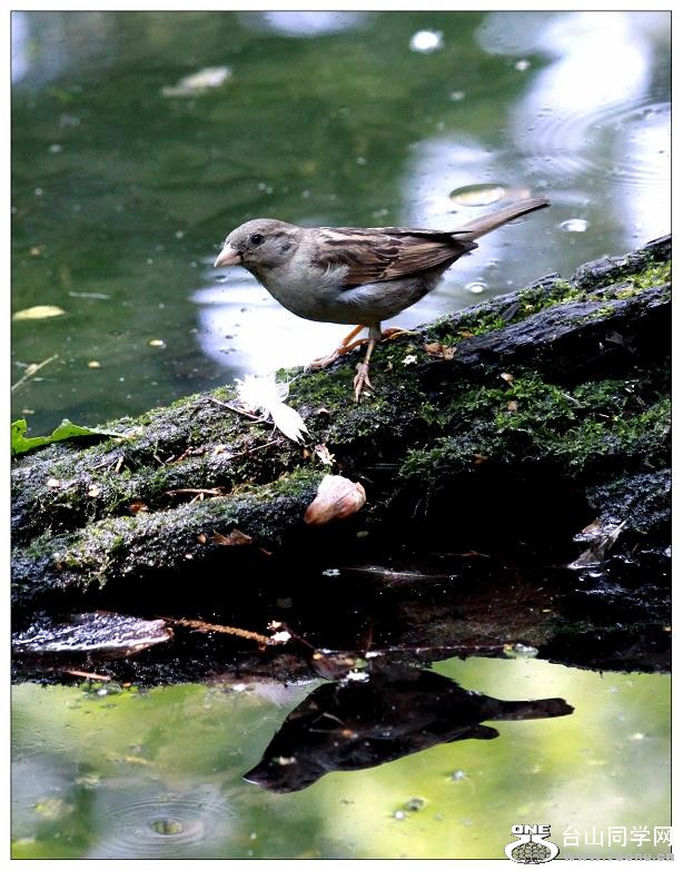 �}�u -IMG_0140cc.jpg