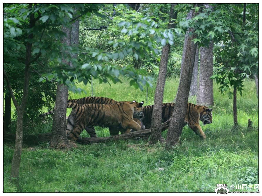 �}�u -IMG_0581a.jpg