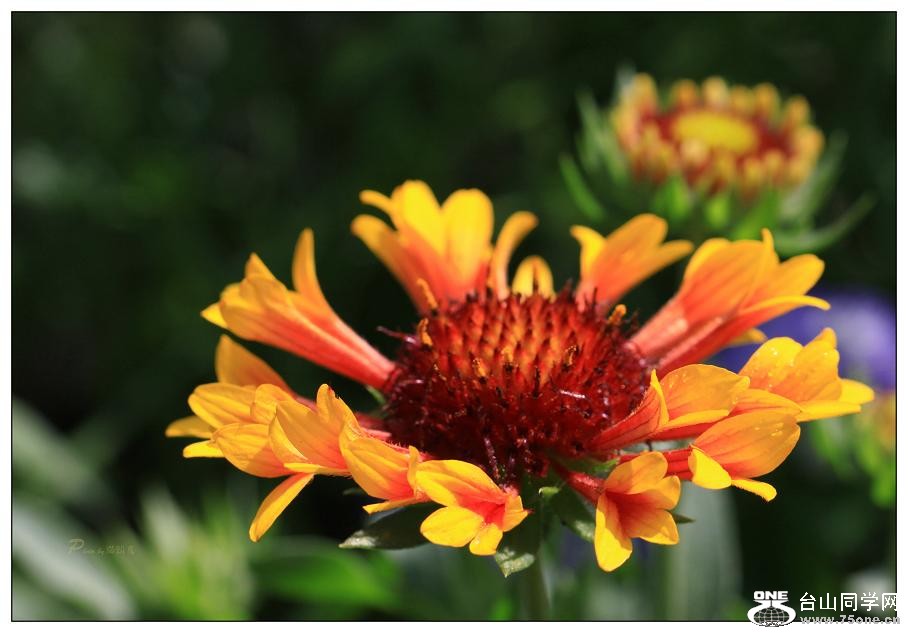 �}�u -IMG_9475cc.jpg