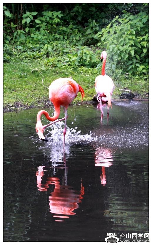 �}�u -IMG_0363cc.jpg