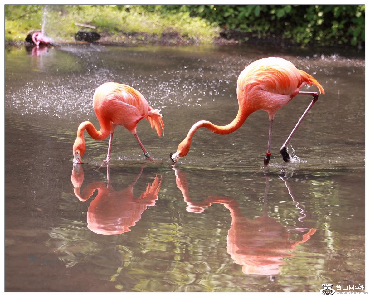 �}�u -IMG_0203cc.jpg