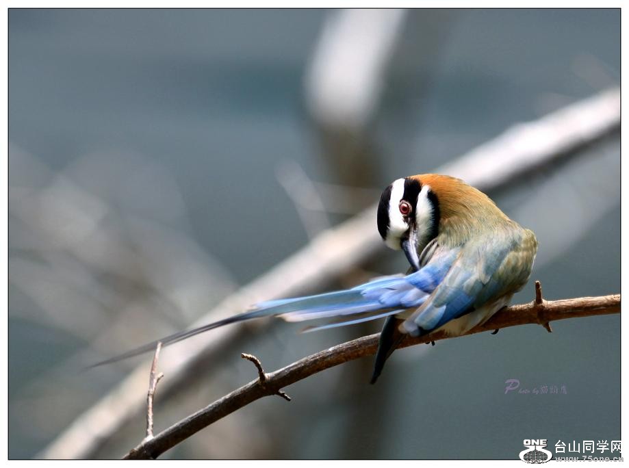 �}�u -IMG_0410cc.jpg