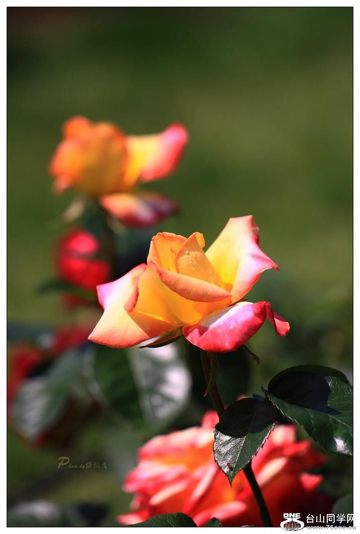 �}�u -IMG_9371cc.jpg