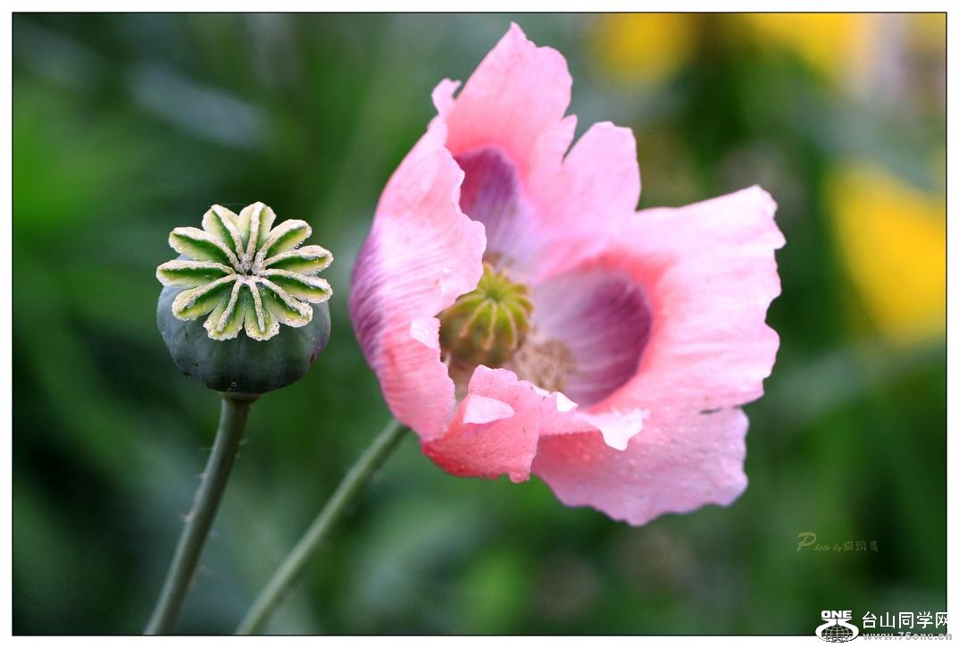 �}�u -IMG_9629cc.jpg