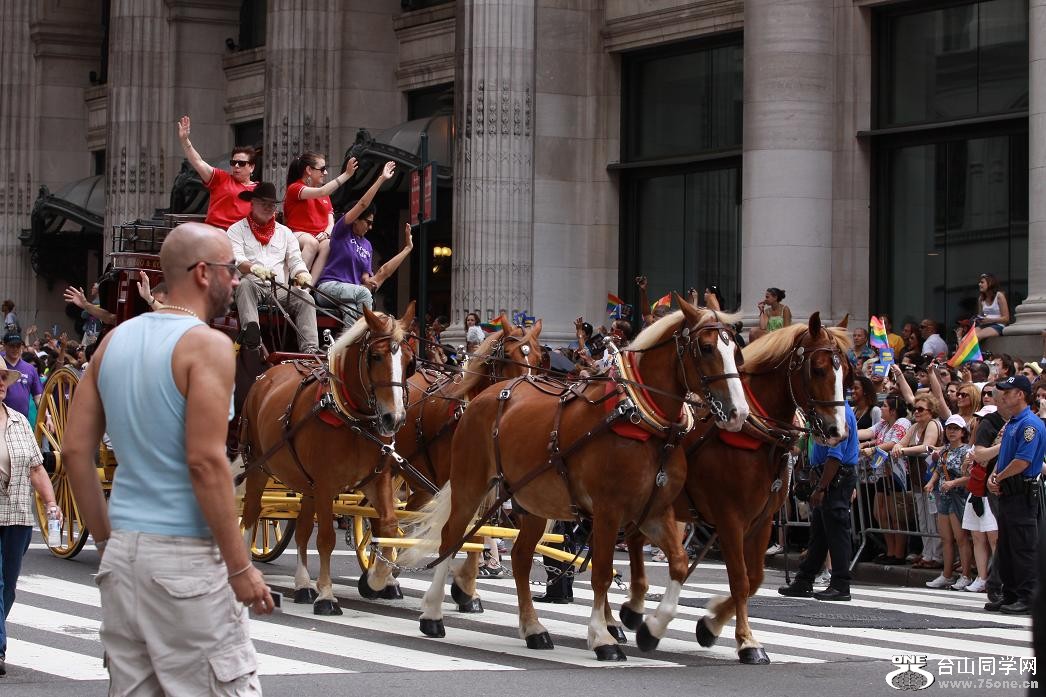 �}�u -IMG_2872.jpg