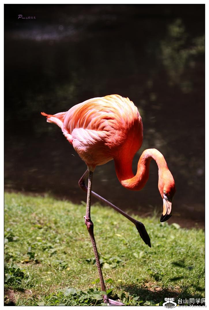 �}�u -IMG_0324c.jpg