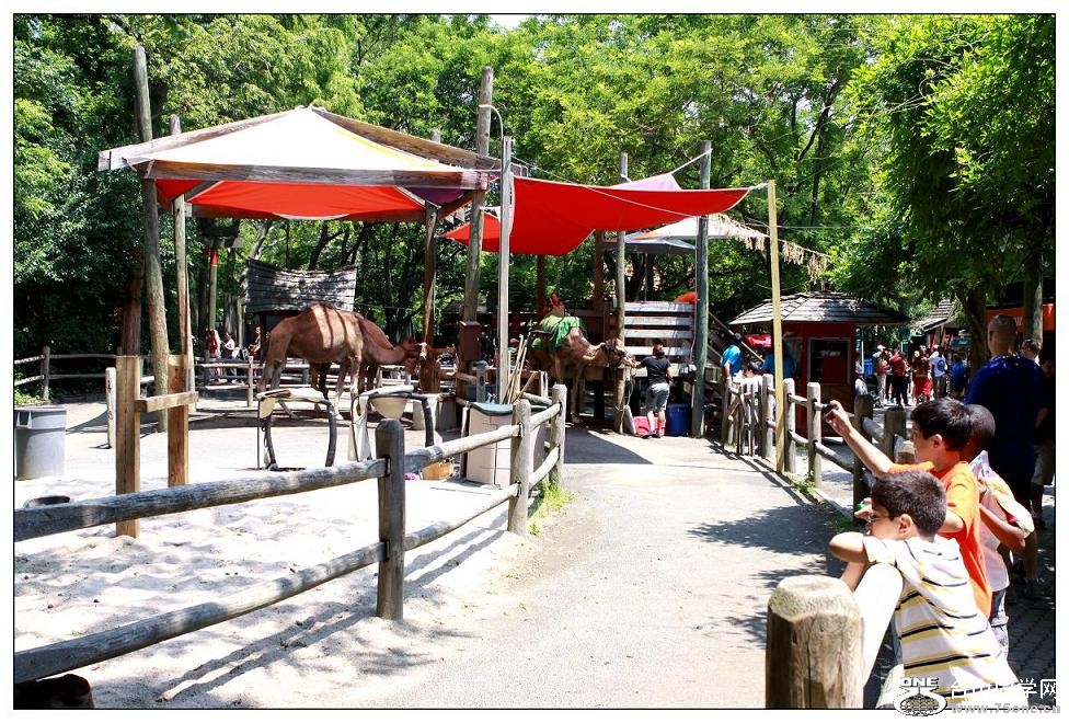 �}�u -IMG_0025cc.jpg