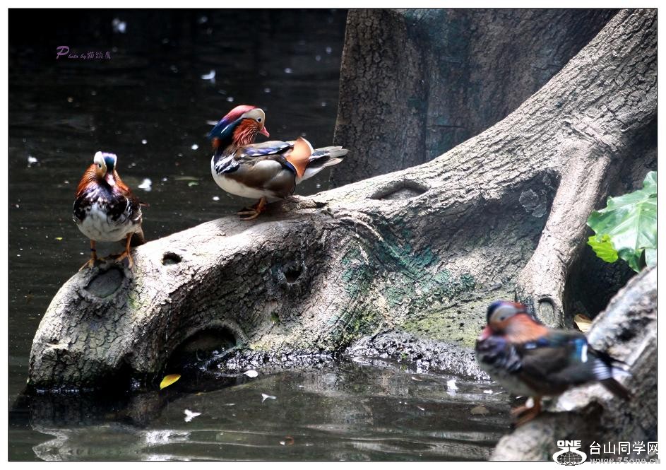 �}�u -IMG_0082c.jpg