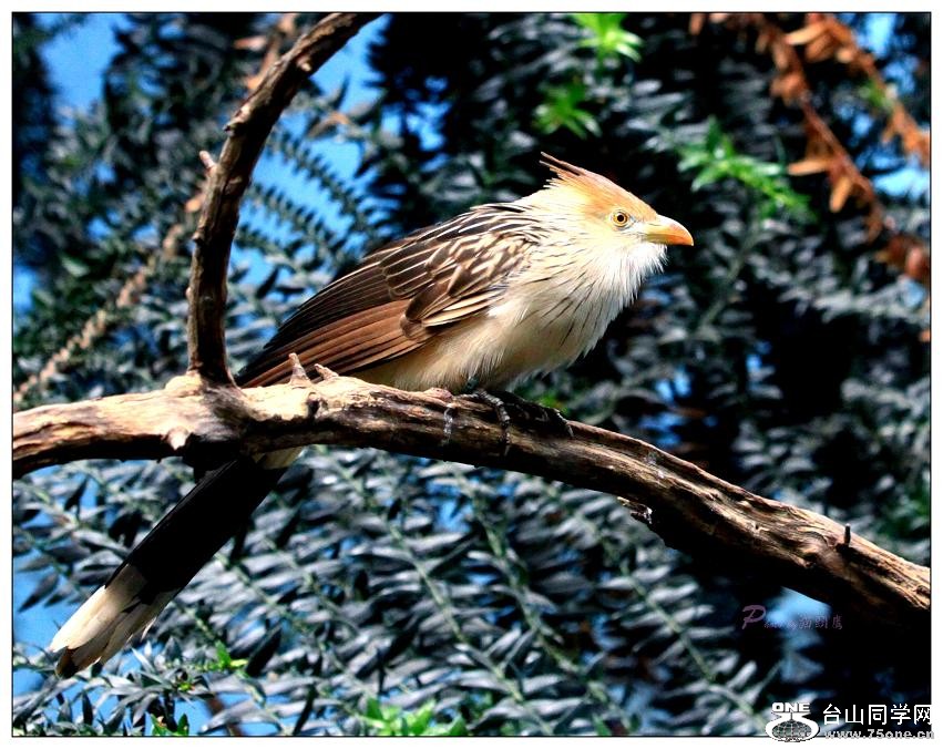 �}�u -IMG_0553ccc.jpg