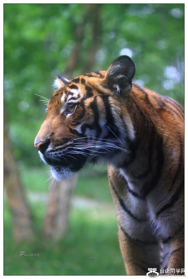 �}�u -IMG_0594c.jpg