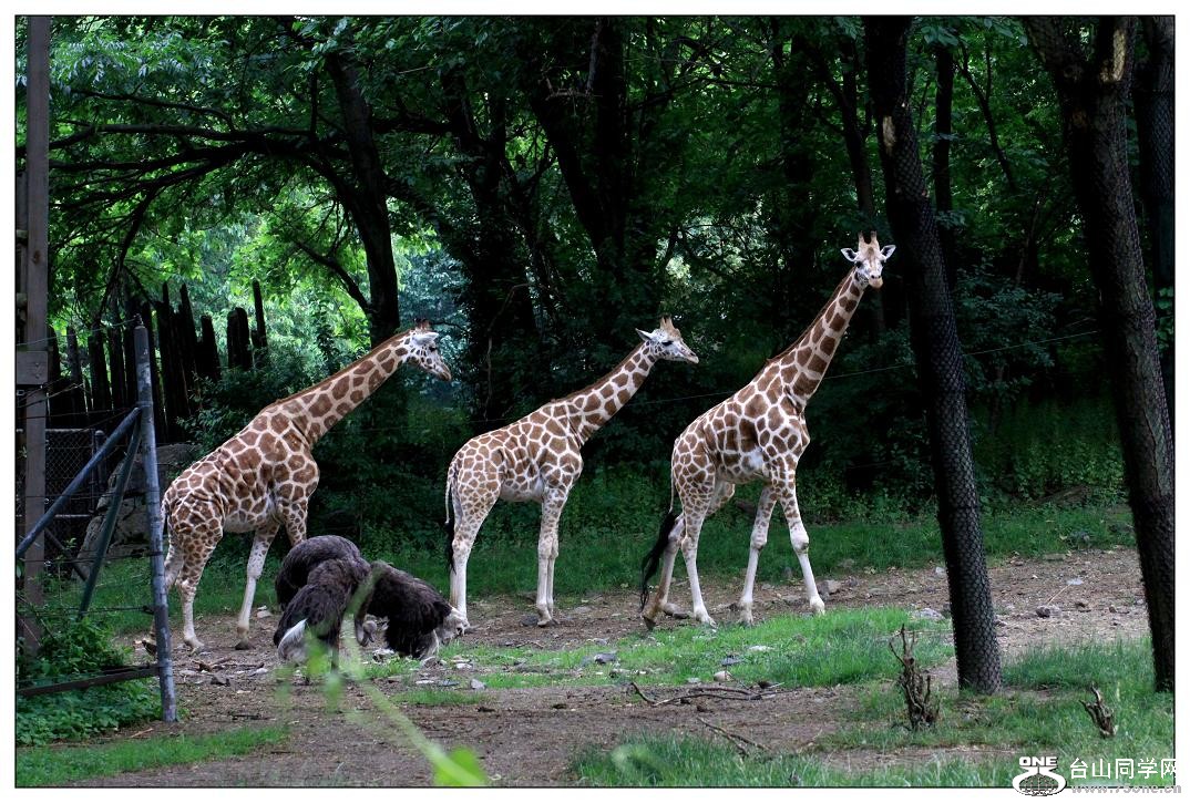 �}�u -IMG_0860cca.jpg